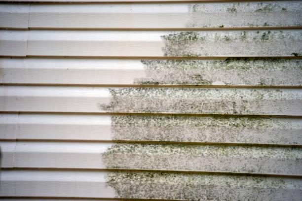Best Fascia and Soffit Installation  in Highlands, NJ